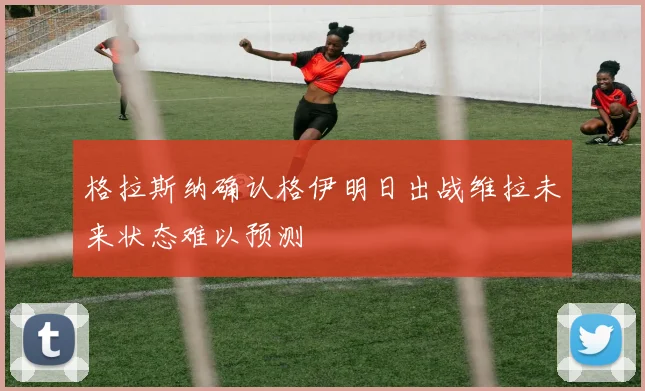 格拉斯纳确认格伊明日出战维拉未来状态难以预测